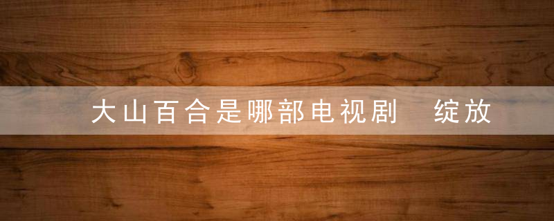 大山百合是哪部电视剧 绽放吧百合电视连剧